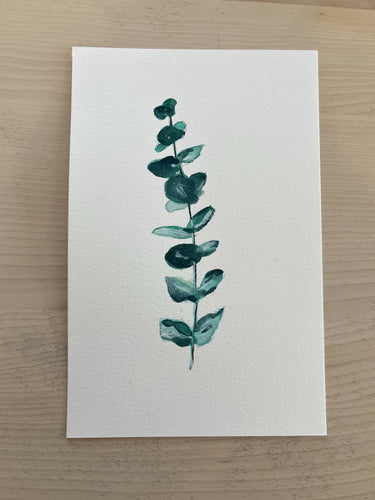 Serie eucalyptus 4