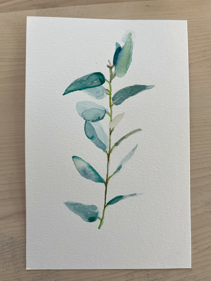 Serie eucalyptus 2