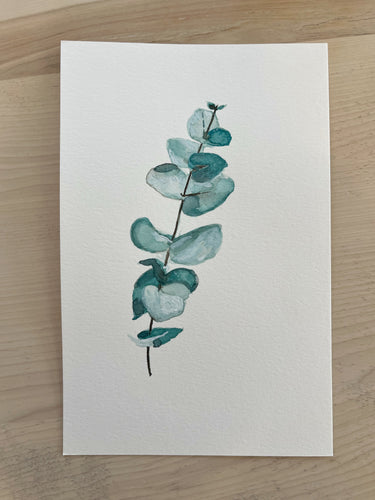 Serie eucalyptus 3