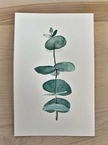 Serie eucalyptus 1